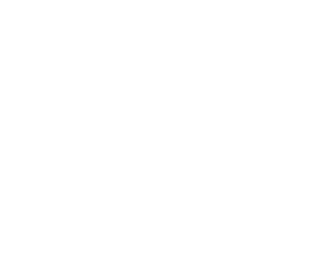 Black Dog Animals Rescue