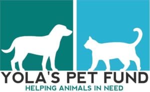 Yola's Pet Fund